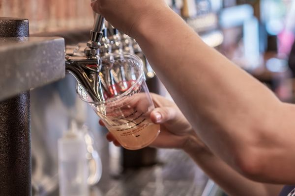 Pouring a beer